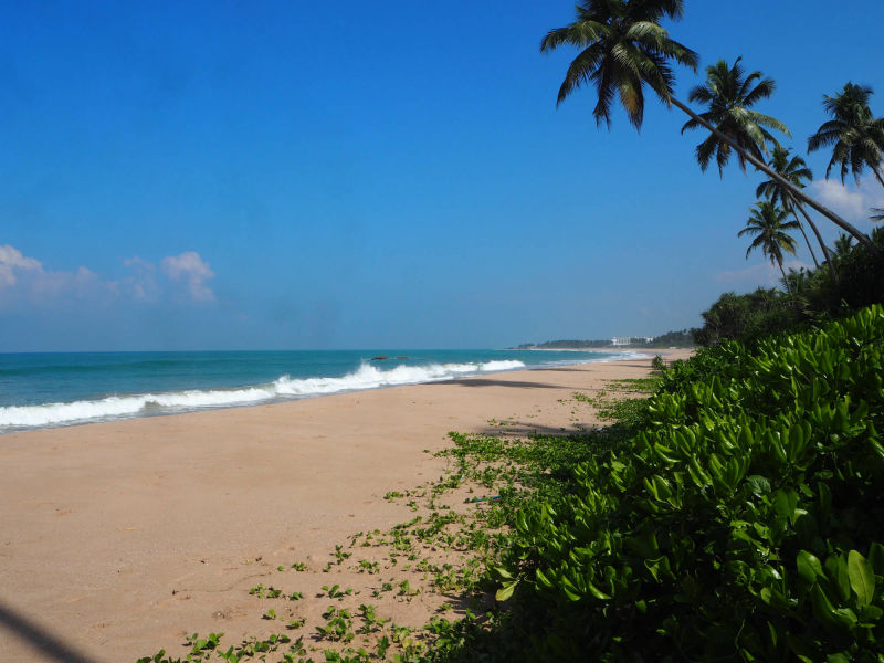 Einsamer Balapitiya Strand vor dem Raja Beach Hotel