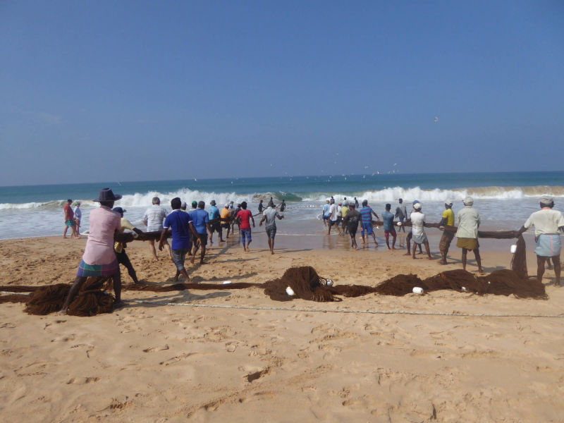 Fischerei: Strandlandungen am Hotelstrand, Rajawatta