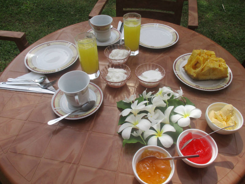 Frühstück im Raja Beach Hotelgarten