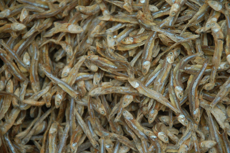 Trockenfisch