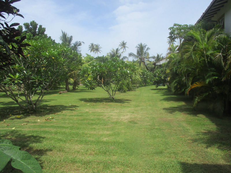 Raja Beach Hotel Garten