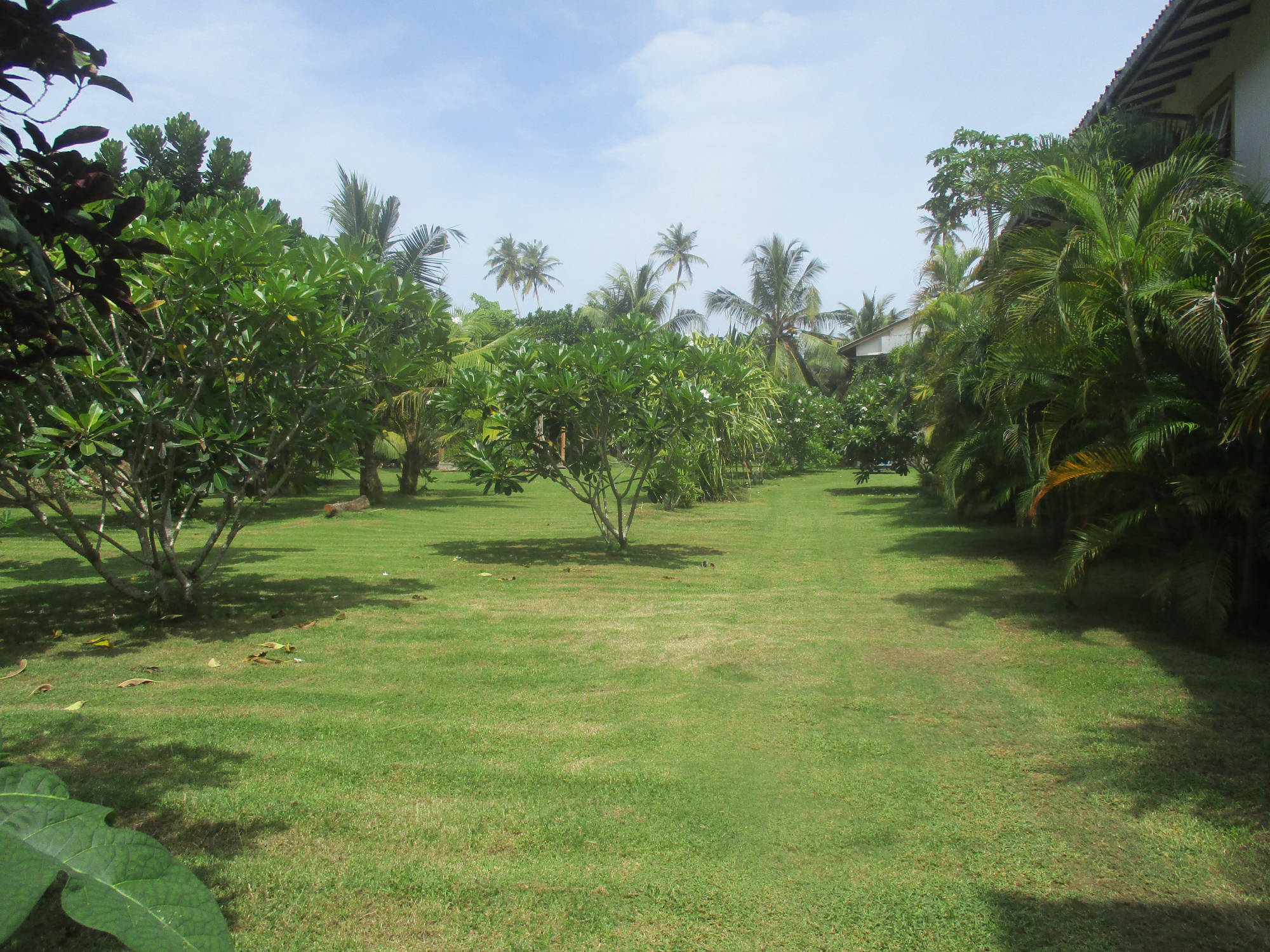 Raja Beach Hotel Garten