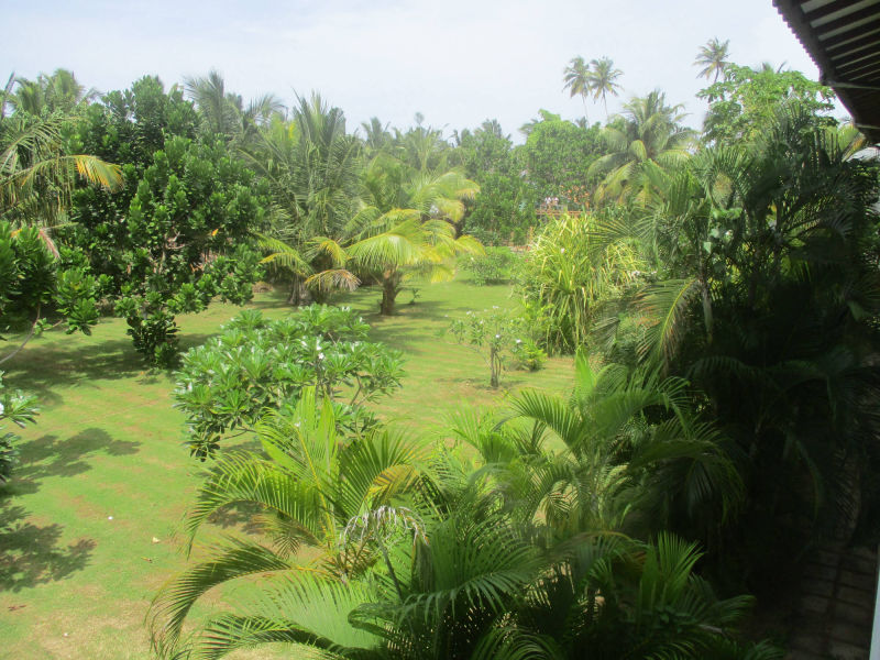 Raja Beach Hotel Garten