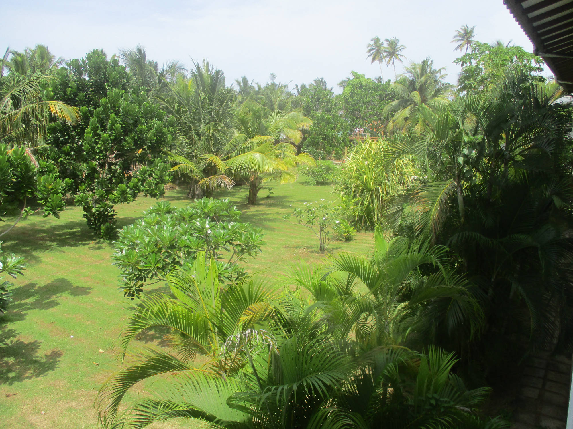 Raja Beach Hotel Garten
