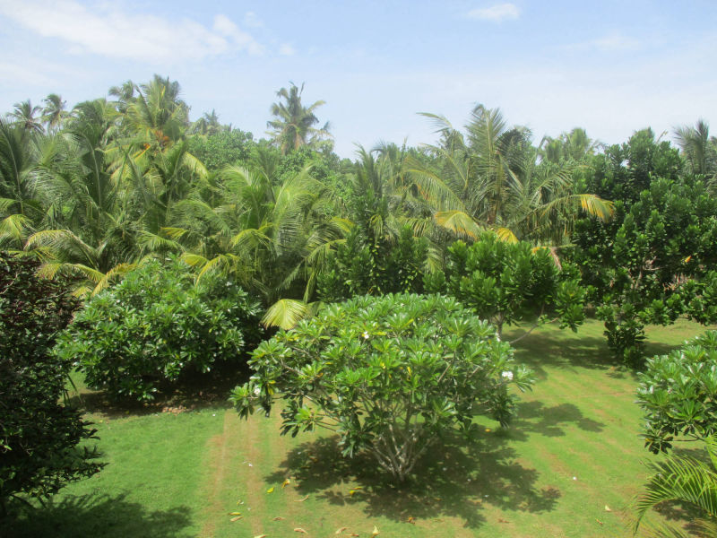 Raja Beach Hotel Garten