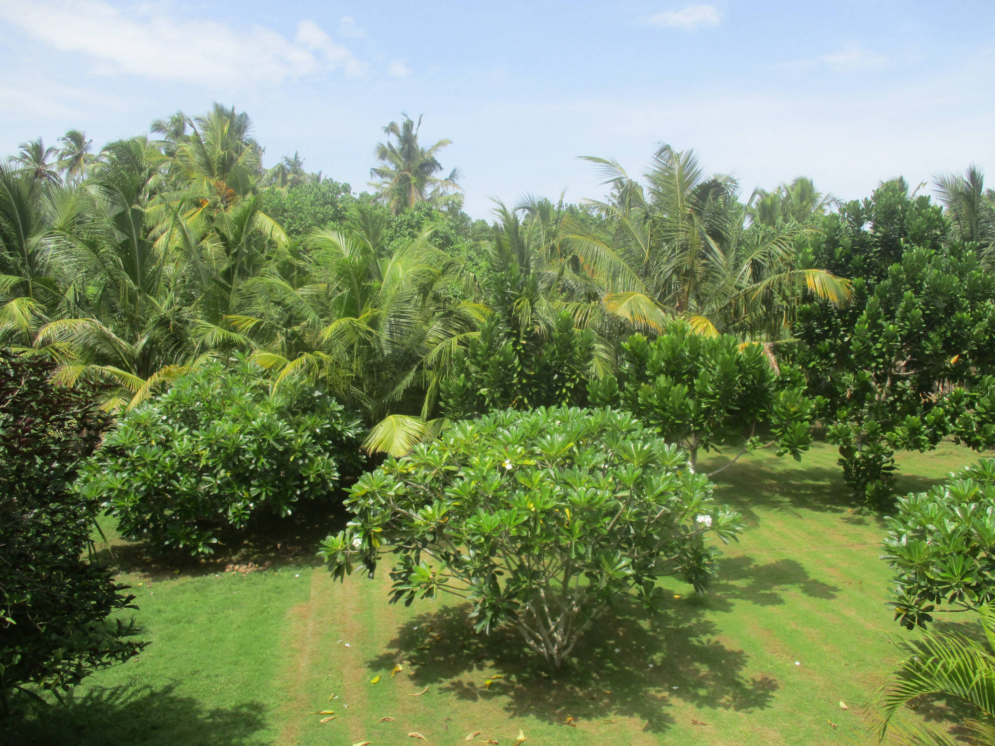 Raja Beach Hotel Garten
