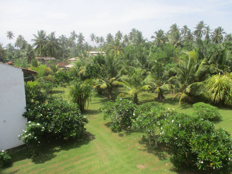 Raja Beach Hotel Garten