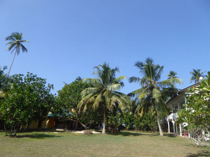 Raja Beach Hotel Garten