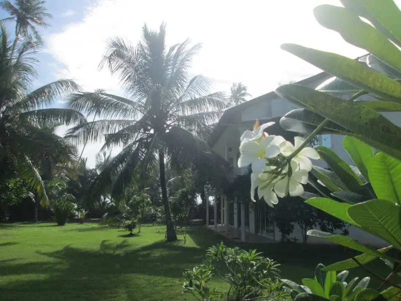 Raja Beach Hotel Garden
