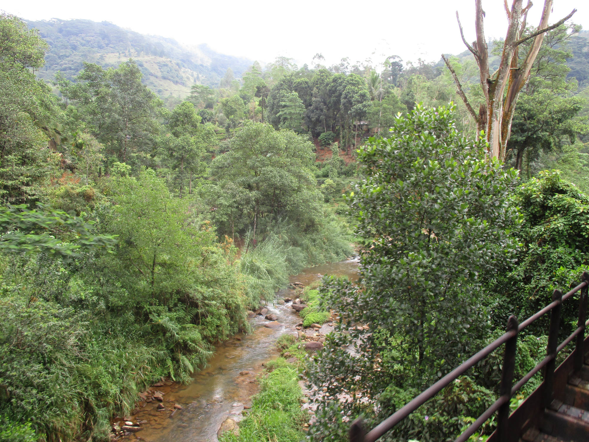 Sri Lanka Hochland, Zugfahrt von Peradeniya nach Nanu-Oya