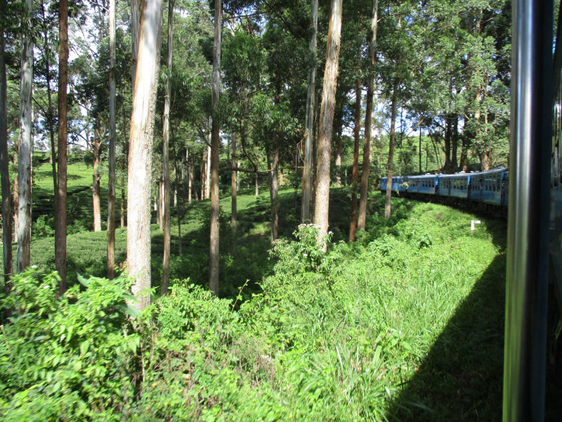 Sri Lanka Hochland, Zugfahrt von Peradeniya nach Nanu-Oya