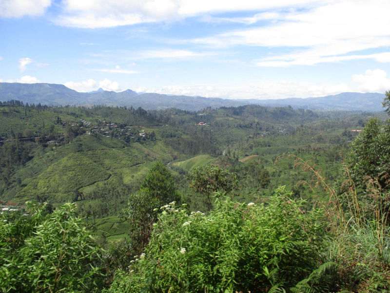 Sri Lanka Hochland, Zugfahrt von Peradeniya nach Nanu-Oya