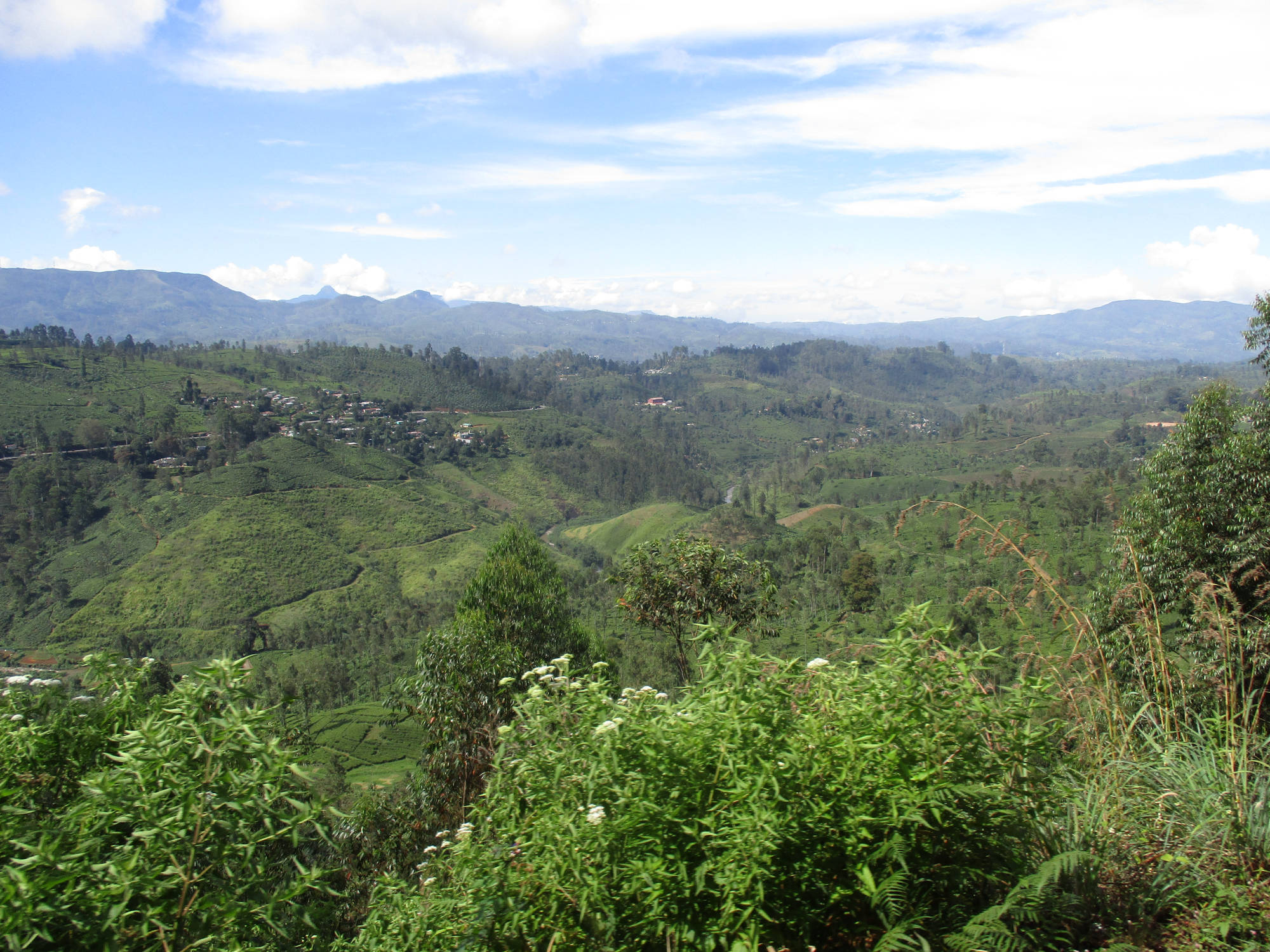 Sri Lanka Hochland, Zugfahrt von Peradeniya nach Nanu-Oya