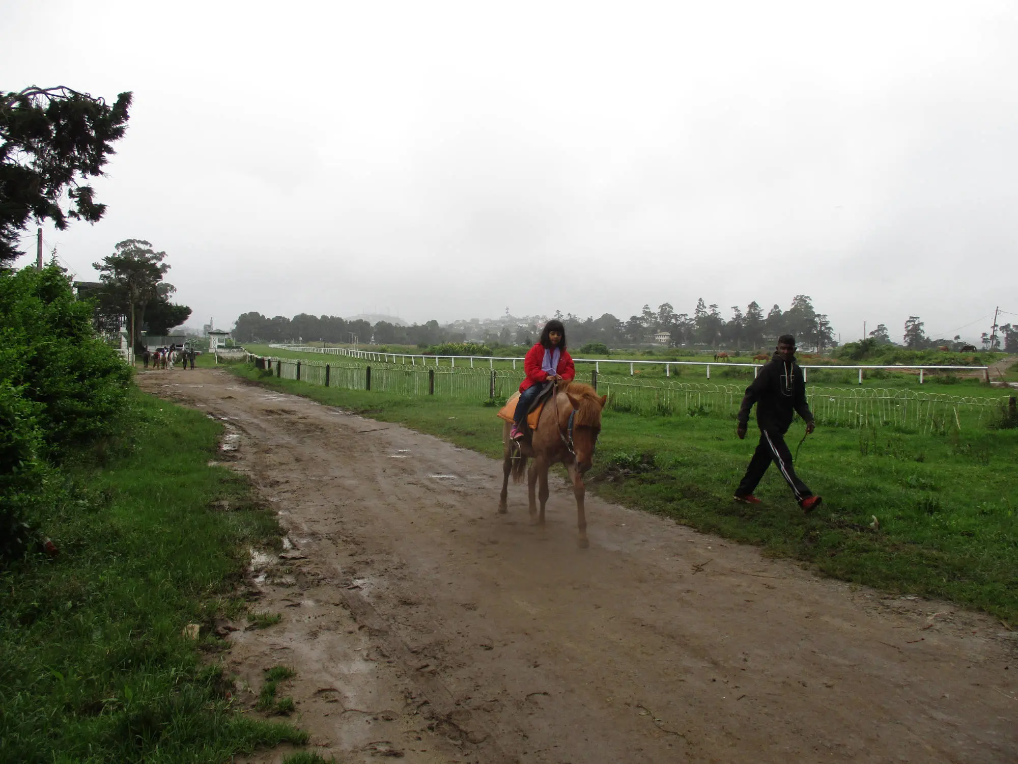Nuwara Eliya Horse Riding
