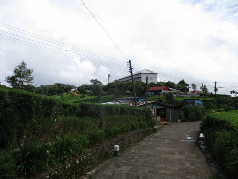 Pedro Teefabrik, Nuwara Eliya