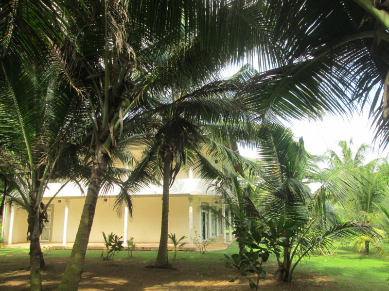 Öffentliche Terasse Raja Beach Hotel