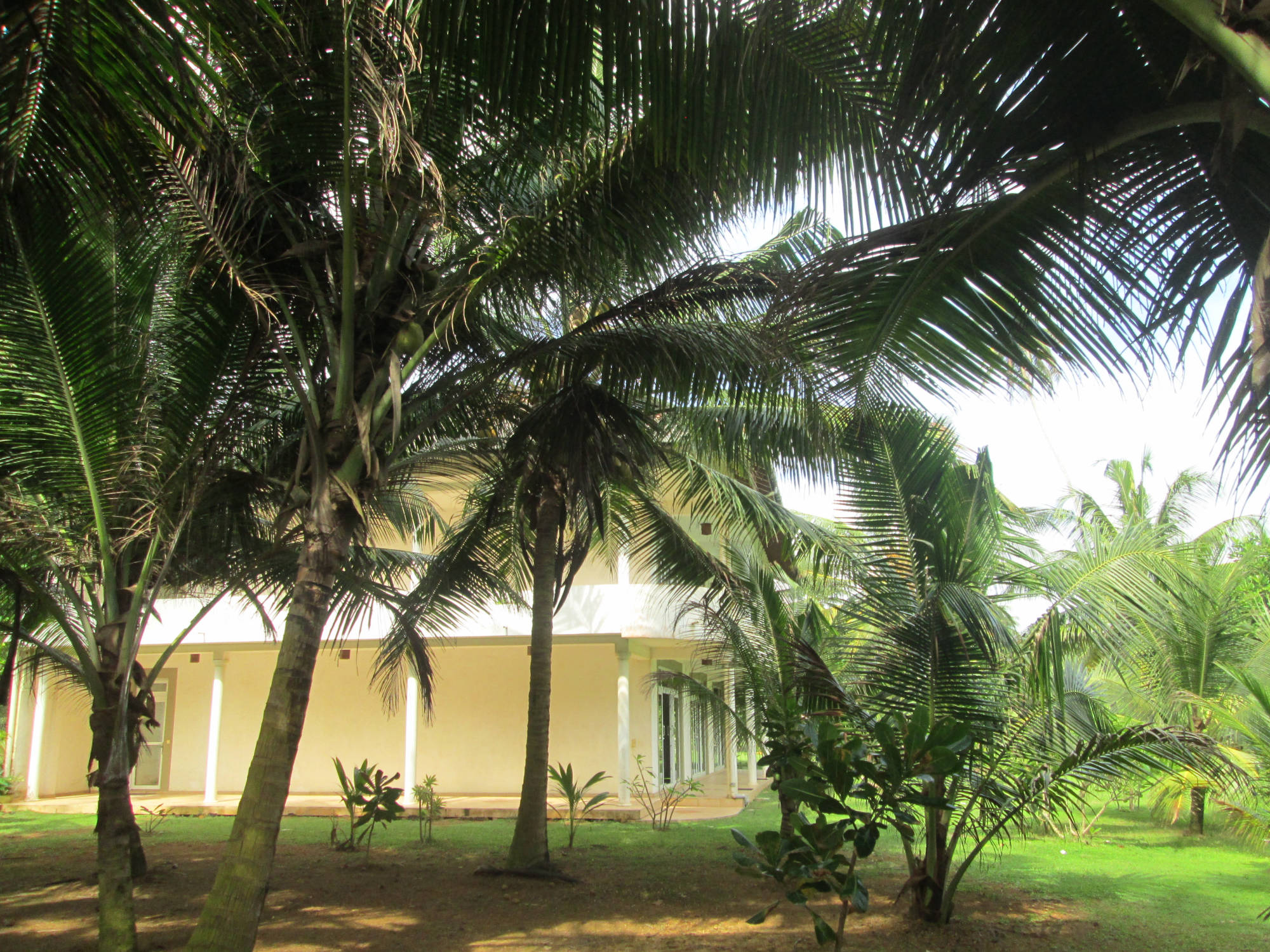Öffentliche Terasse Raja Beach Hotel