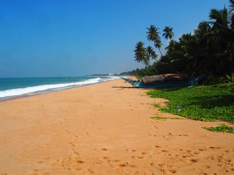 Einsamer Balapitiya Strand vor dem Raja Beach Hotel