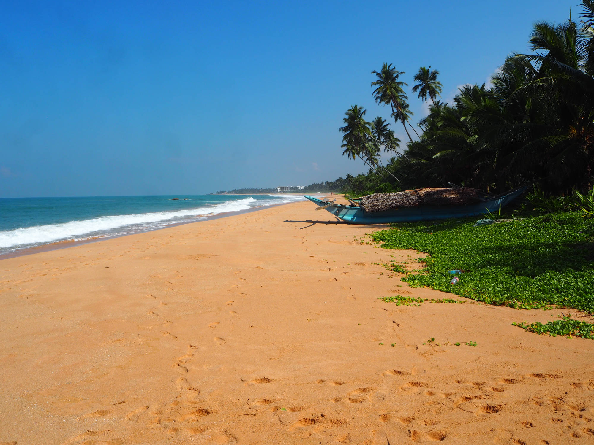 Einsamer Balapitiya Strand vor dem Raja Beach Hotel