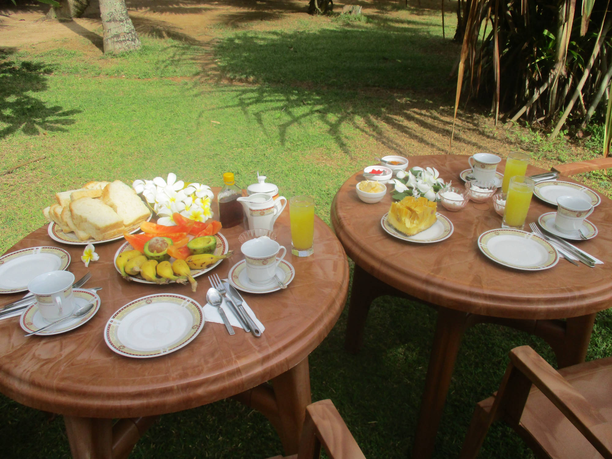 Frühstück im Raja Beach Hotelgarten