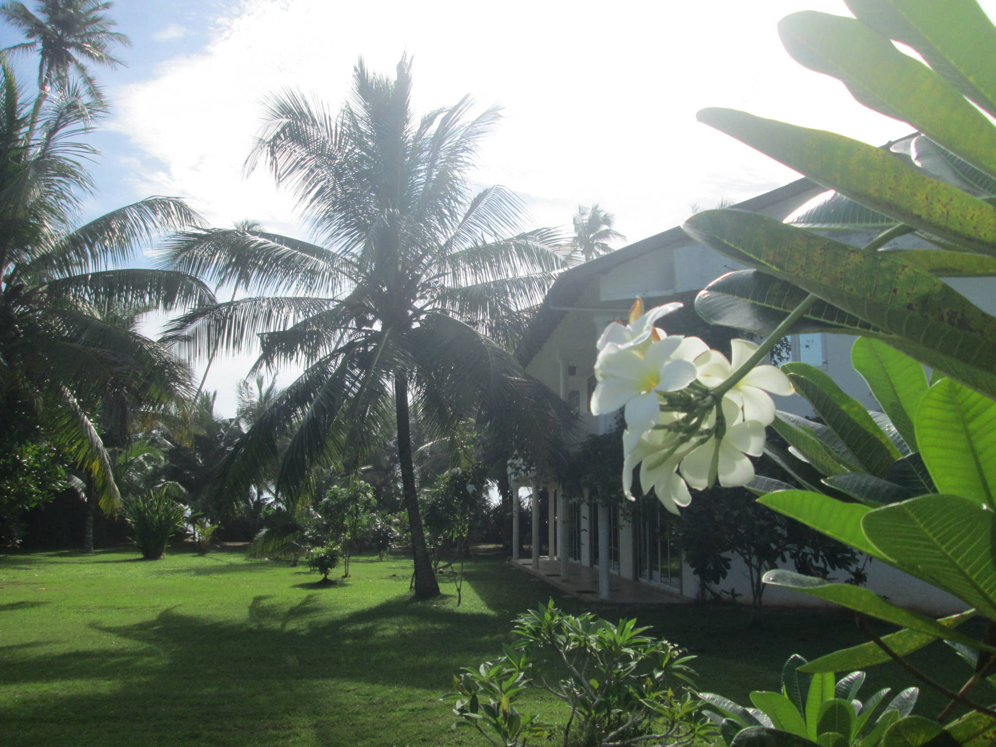 Raja Beach Hotel Garten